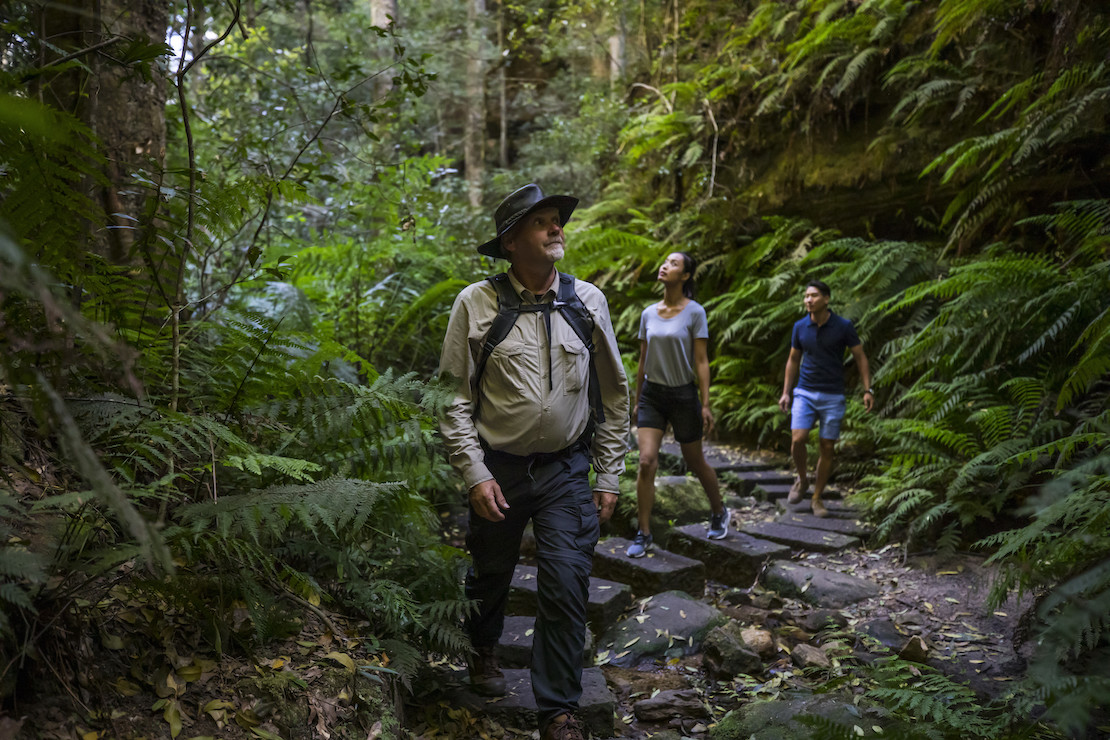 Grand Canyon Track in the Blue Mountains (credit: Destination NSW)